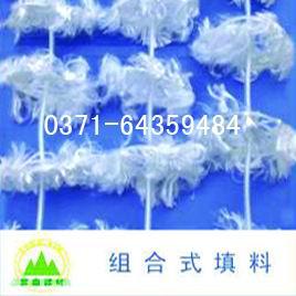 �M��ʽ����