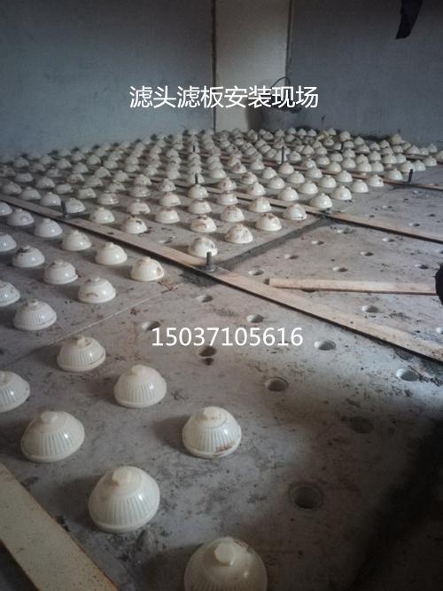 �L���V�^�V�尲�b�D